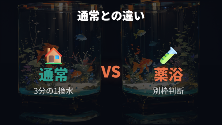 塩水浴や薬浴では通常の水換え頻度と分けて考える