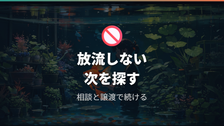 飼えなくなった金魚を放流してはいけない理由