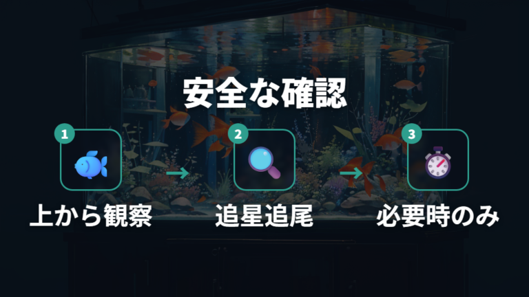 総排泄孔で見分けるポイントを他の特徴と合わせる