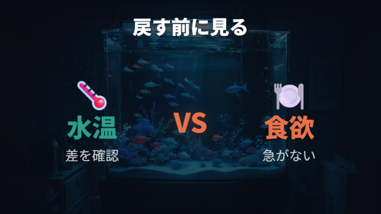 弱ったメダカを戻す時は水温と食欲を見て待つ