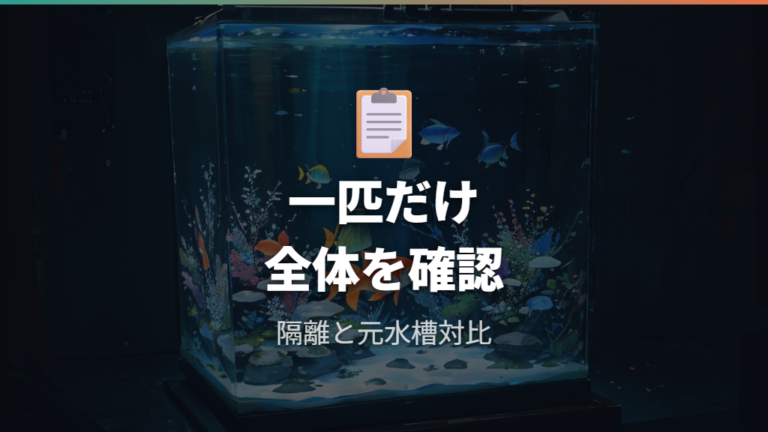 他のメダカにうつるか不安な時はどう判断する?