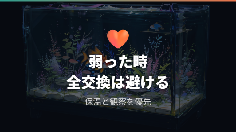 弱ったときの応急対処で避けたい判断