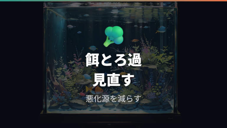 バクテリアへの影響を抑えるにはろ過と給餌を見直す