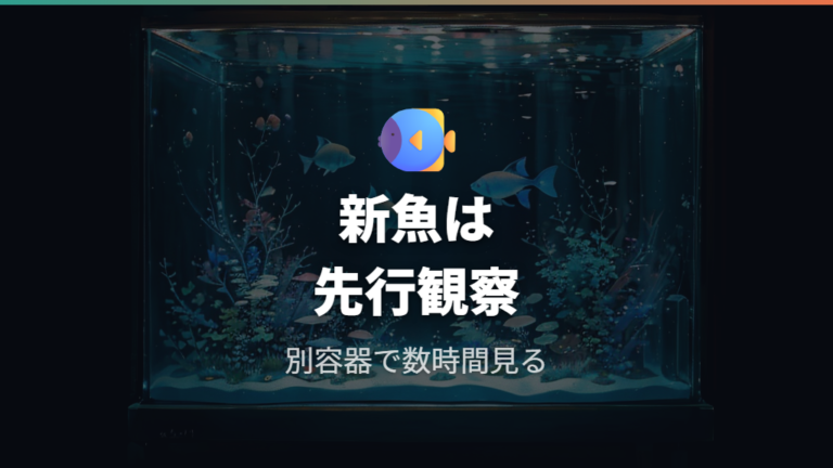 再発を防ぐ水槽管理として新魚のトリートメントを行う