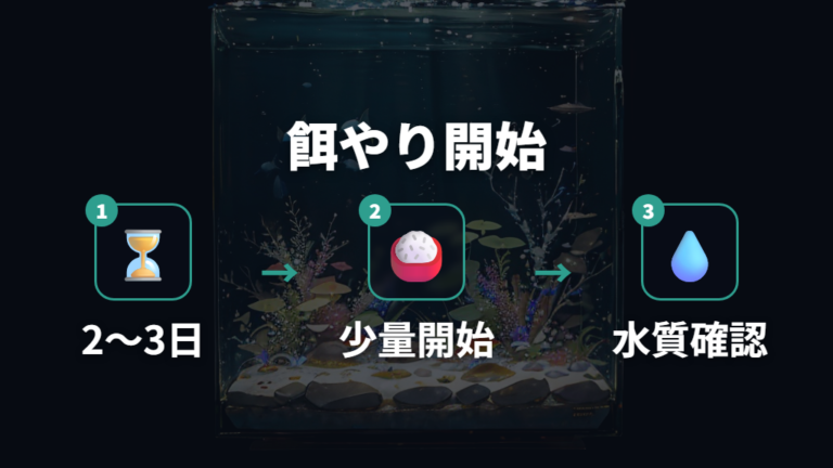 孵化後の稚魚管理と餌やりは2〜3日後から切り替える