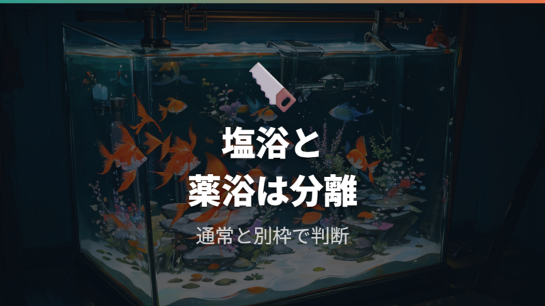 塩水浴や薬浴中の水換えは通常飼育と分けて考える