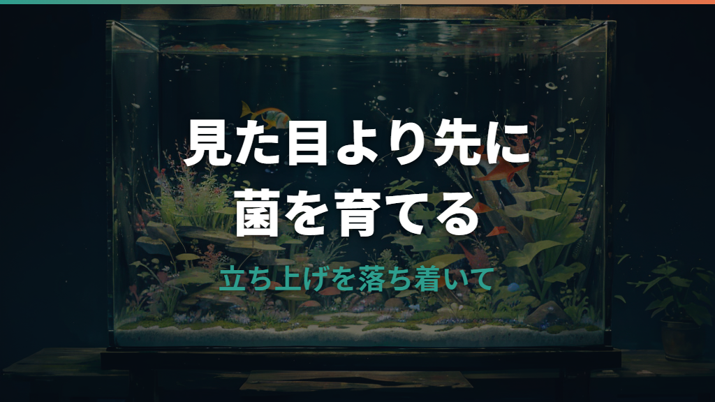 水槽バクテリアの増やし方｜立ち上げ・ろ材・掃除で失敗しない基本