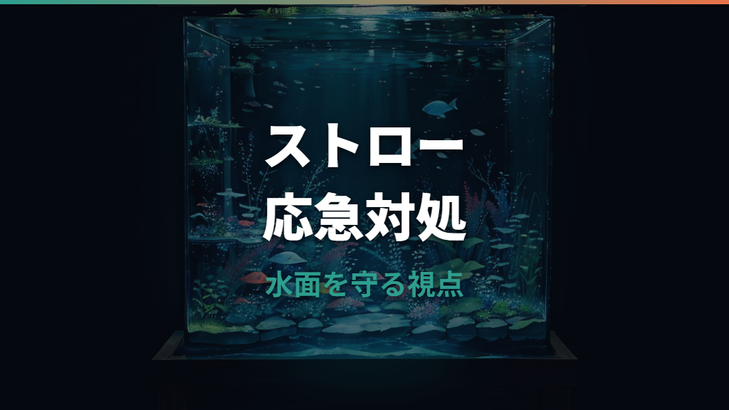 水槽の酸素不足はストローで解消できる？魚に悪い理由と応急処置
