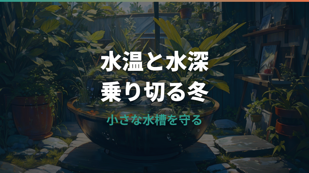 メダカの冬越し詳しいガイド｜屋外の水深・餌やり・水換えと室内判断