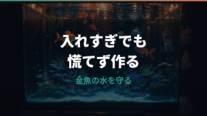 金魚にカルキ抜きを入れすぎたら大丈夫?影響と応急処置を解説