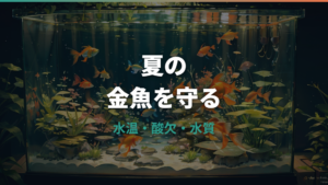 金魚の夏対策まとめ|水温・酸欠・餌やり・水換えの見直し方