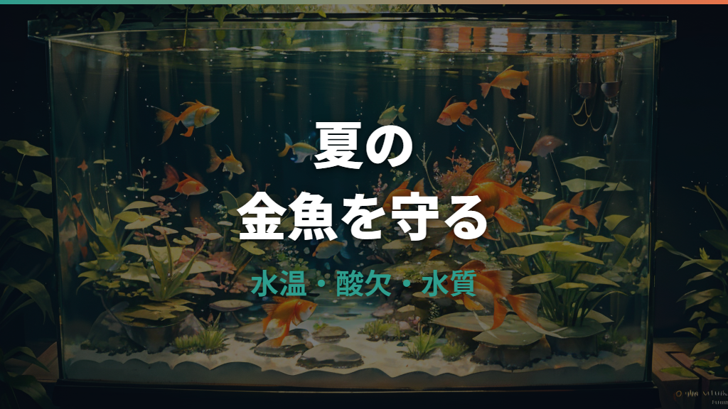 金魚の夏対策まとめ｜水温・酸欠・餌やり・水換えの見直し方