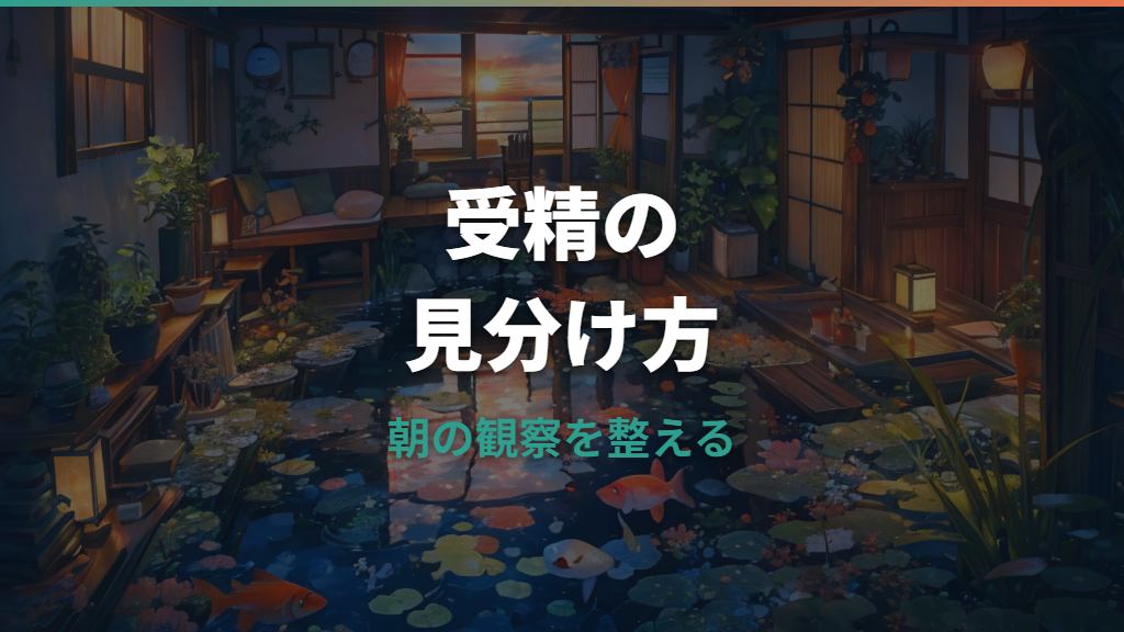 メダカの卵はいつ受精する？産卵直後の流れと有精卵の見分け方