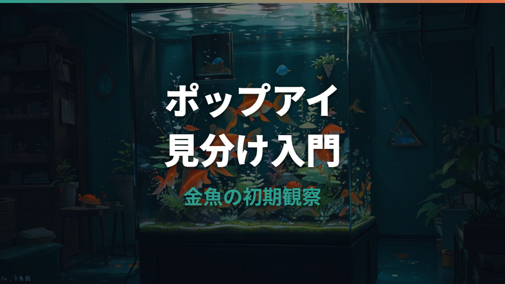 金魚のポップアイの見分け方|出目金との違いと初期対応