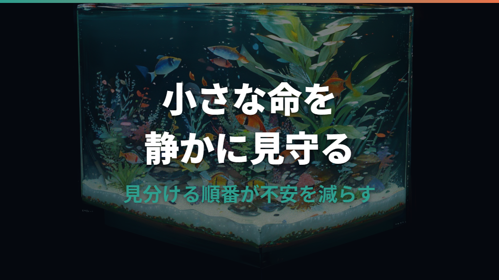 メダカの稚魚が底にいるのは危険？正常サインと今すぐできる対処法