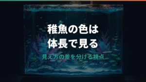 メダカ稚魚の色はいつから分かる?体長と品種別の見分け方