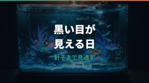 メダカの孵化直前サインは?黒い目・動き・白い卵の見分け方