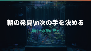 メダカの卵が水草に付いたらどうする?採卵・隔離・孵化管理まで解説