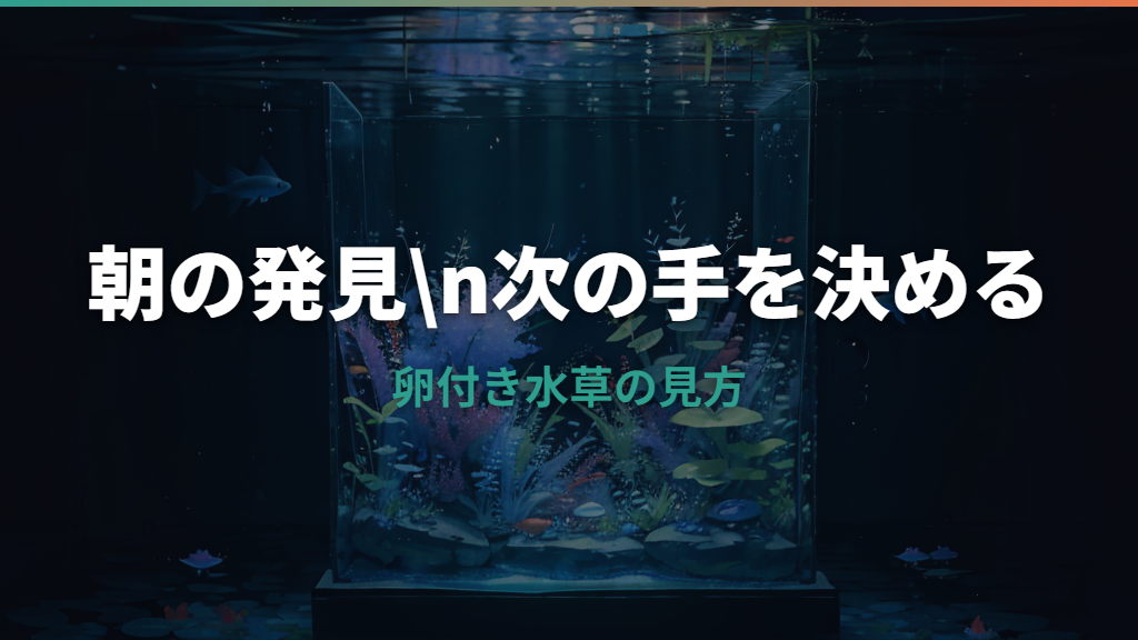 メダカの卵が水草に付いたらどうする？採卵・隔離・孵化管理まで解説