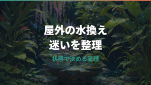 メダカの水換えは屋外ならどの頻度?季節別の量と弱らせない手順
