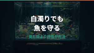 水槽の白濁りは魚へ影響する?危険サインと正しい対処法