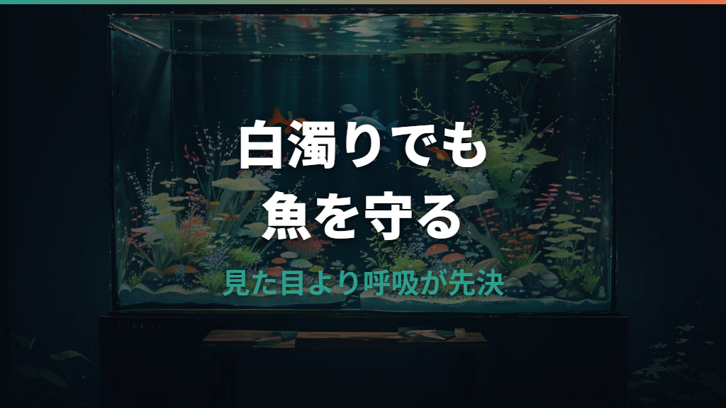 水槽の白濁りは魚へ影響する？危険サインと正しい対処法