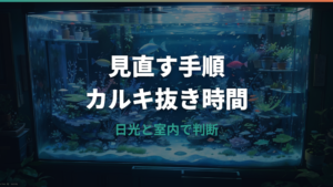 メダカの水道水のカルキ抜き時間は何時間?日光・室内・薬剤の目安