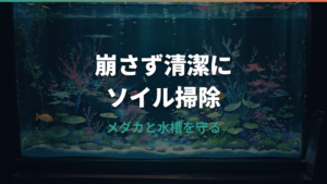 ソイル水槽の掃除方法|崩さずフンやゴミを取るコツと交換目安