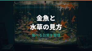 金魚が水草を食べるのは大丈夫?理由と食べられにくい種類を解説