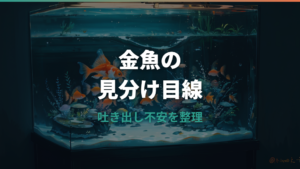 金魚がエサを吐き出す原因は？正常な行動と病気サインの見分け方