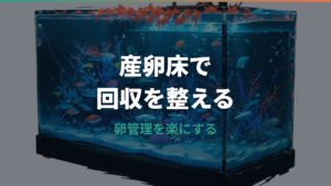 メダカの産卵床は必要?種類・手作り・入れる時期と卵がつかない原因まで解説