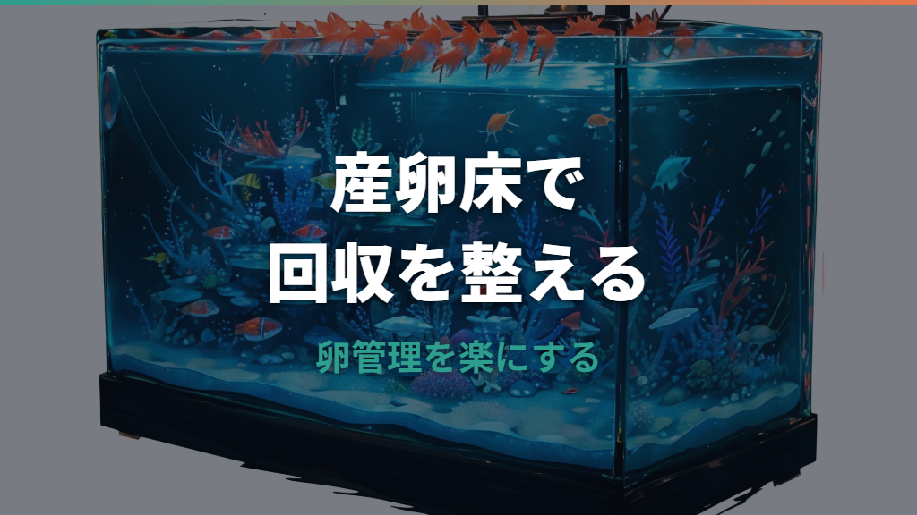 メダカの産卵床は必要？種類・手作り・入れる時期と卵がつかない原因まで解説