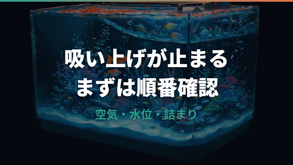 水槽ポンプが吸い上げない時の呼び水手順と原因チェック