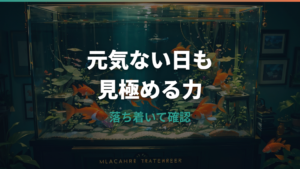 金魚が元気ない原因は?底でじっとする・餌を食べない時の見分け方