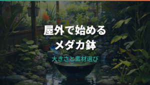 メダカ鉢を屋外に置くなら?大きさ・素材・匹数・夏冬管理まで解説