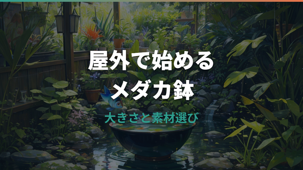 メダカ鉢を屋外に置くなら？大きさ・素材・匹数・夏冬管理まで解説