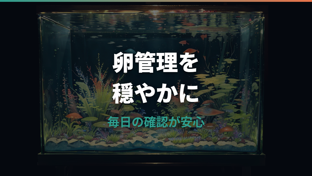メダカの卵にメチレンブルーは必要？濃度・日数・青い卵の見分け方