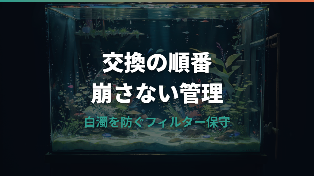 水槽フィルター交換の時期と手順｜バクテリアを残して白濁を防ぐコツ