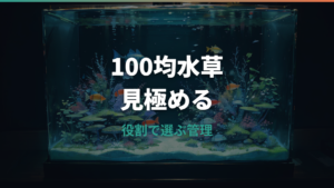 メダカ水草は100均で使える？ダイソー・セリア用品と安全な選び方