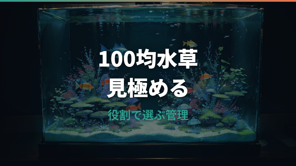メダカ水草は100均で使える？ダイソー・セリア用品と安全な選び方