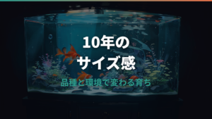 金魚10年の大きさは何cm？品種別サイズと小さい原因を整理