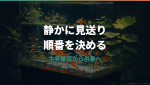 金魚が死んだらどうする?生死確認から供養・水槽ケアまでの手順