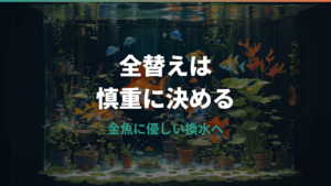 金魚の水換えで全替えは危険?必要なケースと失敗しない手順