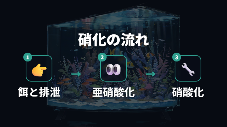 バクテリアが増える仕組みは硝化サイクルで理解する