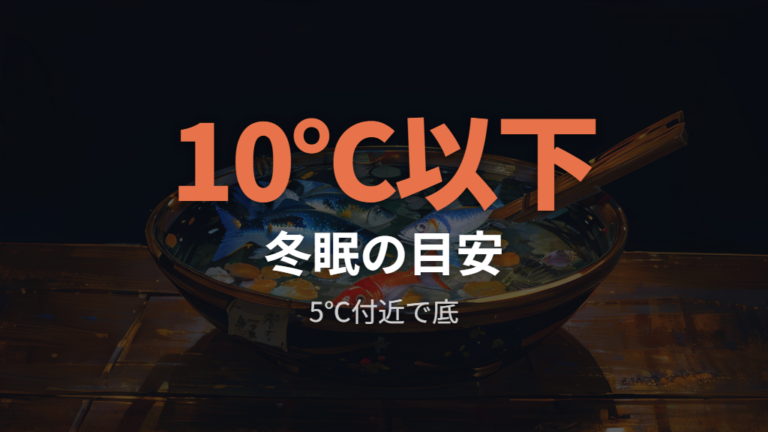 冬眠に入る水温と時期の目安を押さえる