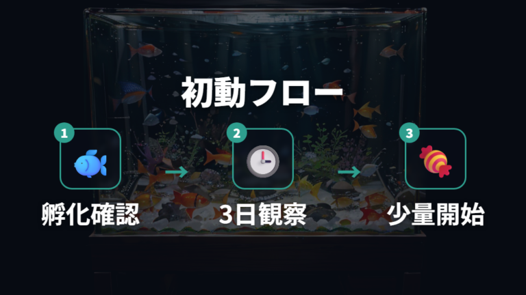 孵化直後からの育て方の流れを日数で押さえる