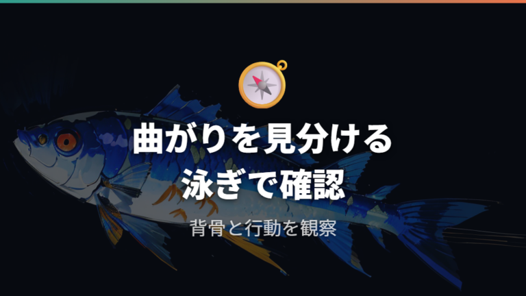 奇形の見分け方と主な症状を背骨・泳ぎ方で見る