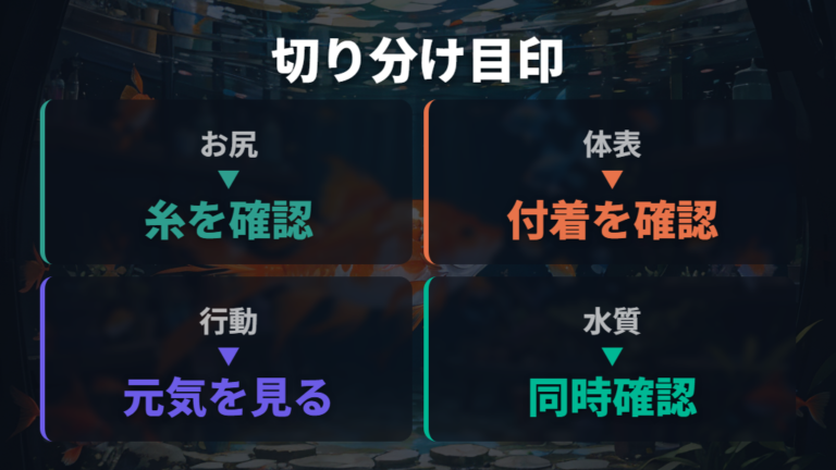 白い糸状のフンの見分け方は肛門と体表を分けて見る