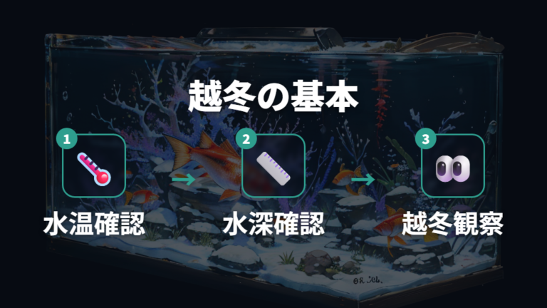屋外で冬越しさせる基本条件は水温と水深を見る