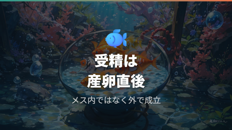 卵が受精するタイミングは産卵時から産卵直後